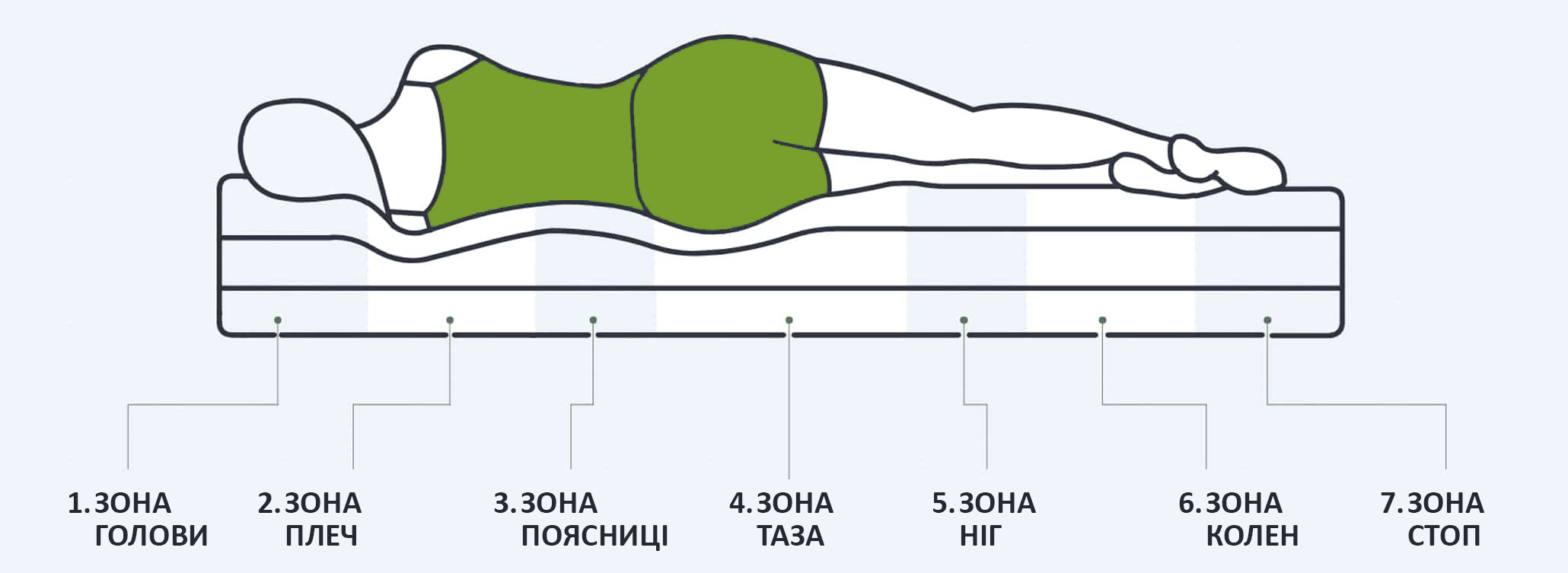 Анатомические зоны поддержки матраса 7-ZONE GREY Преимущества 7-зонного ортопедического матраца 7-ZONE GREY из угольного латекса LIEN'A